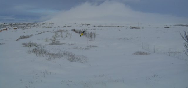 Veðurguðinn að leika sér 23. febrúar 2017