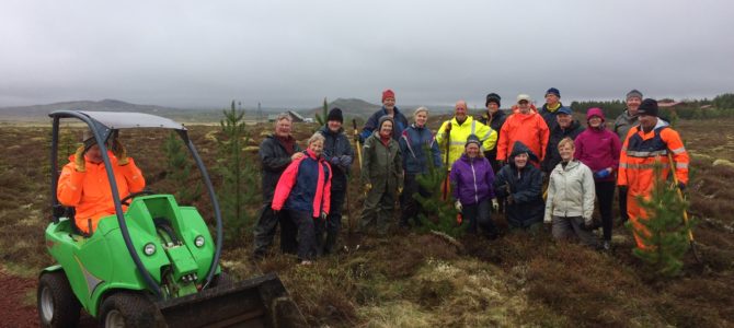 G dagurinn var haldinn 9. júní 2018 – T dagurinn síðar í júní